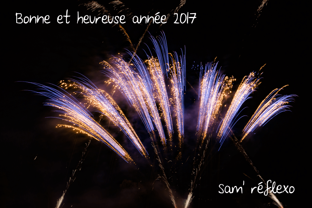 bonne_annee